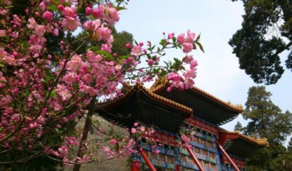 Топ-5 лучших стран для празднования 8 Марта