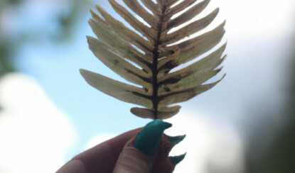 Загадочные явления: мир таинственных событий