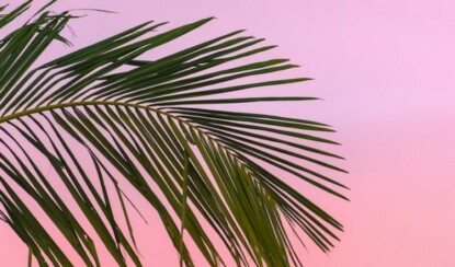 Летний стиль: солнцезащитная мода и аксессуары