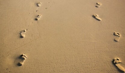 Экологический след: Что такое и как его уменьшить