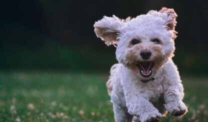 Секреты позитивного мышления и счастливой жизни
