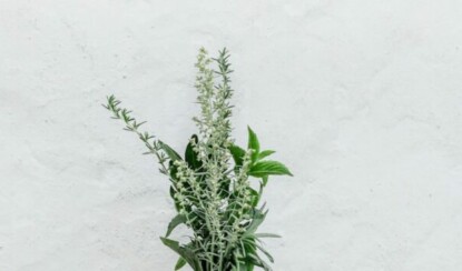 Необычные животные мира: истории из живой природы