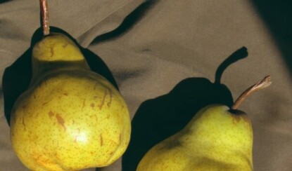 Жизненные уроки: опыт и мудрость нашего пути