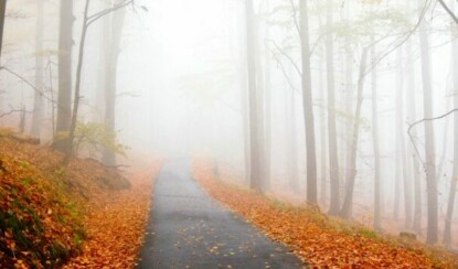 Препятствия на пути к любимому делу