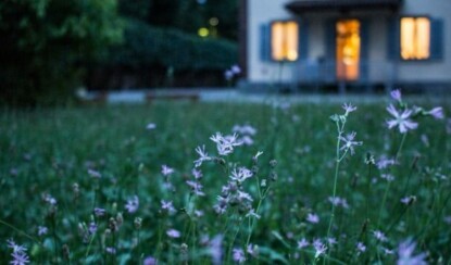 Романтический вечер для двоих