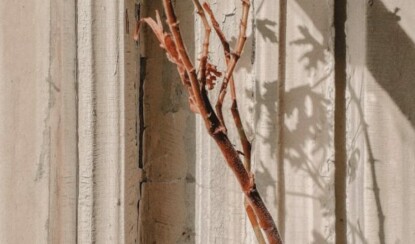 Как заглушить «зверское» чувство голода