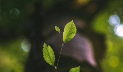 Что такое личностный рост и почему это важно