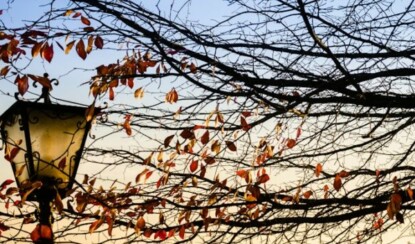 Побеждаем негативные мысли: 5 стратегий