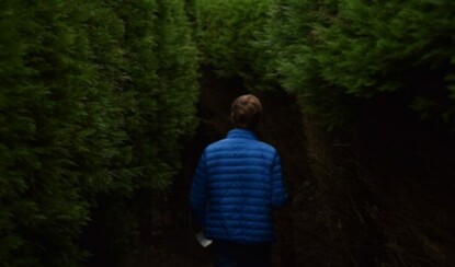 10 способов быстро избавиться от боли в спине