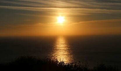 Быстрая помощь при порезах и ожогах: 5 полезных советов