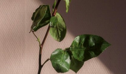 Осознанность и позитивное мышление — два ключа к счастливой жизни