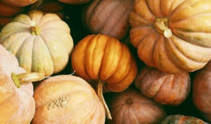 Блюда из тыквы: топ-5 рецептов на любой вкус