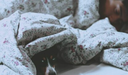 Что такое сон и как улучшить его качество