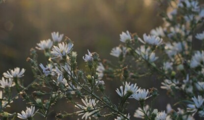 Весенний уход за кожей: обновляем бьюти-рутину