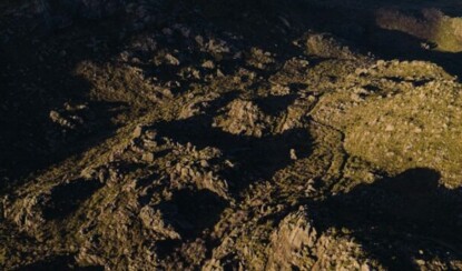 5 способов смотреть на вещи позитивно