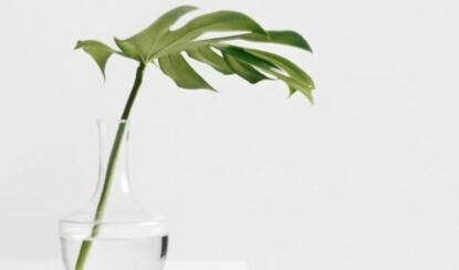 Готовим домашнюю гранолу: простой рецепт полезного завтрака