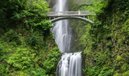 Жизнь в ритме природы: как следовать биоритмам для поддержания здоровья и энергии