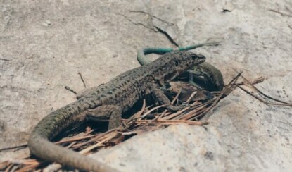 Как правильно выбрать солнцезащитный крем: 5 советов