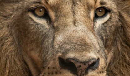 Дикие и прекрасные: самые красивые места на Земле