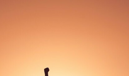 14 лайфхаков на каждый день для экономии времени