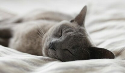 Как улучшить свой сон: полезные советы и рекомендации