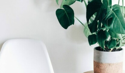 Веганство и красота: как придерживаться растительного питания и оставаться привлекательной