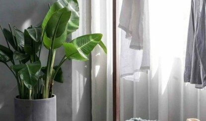 3 способа защитить свой дом от комаров