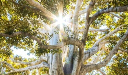 Момент истины: как принимать важные решения в жизни