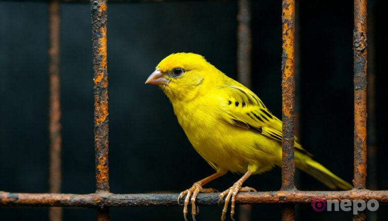 Зачем шахтеры брали с собой канареек: тайна, спасавшая жизни под землей